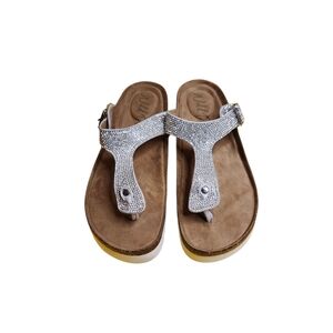 Wild Pair Silver and Brown Mules